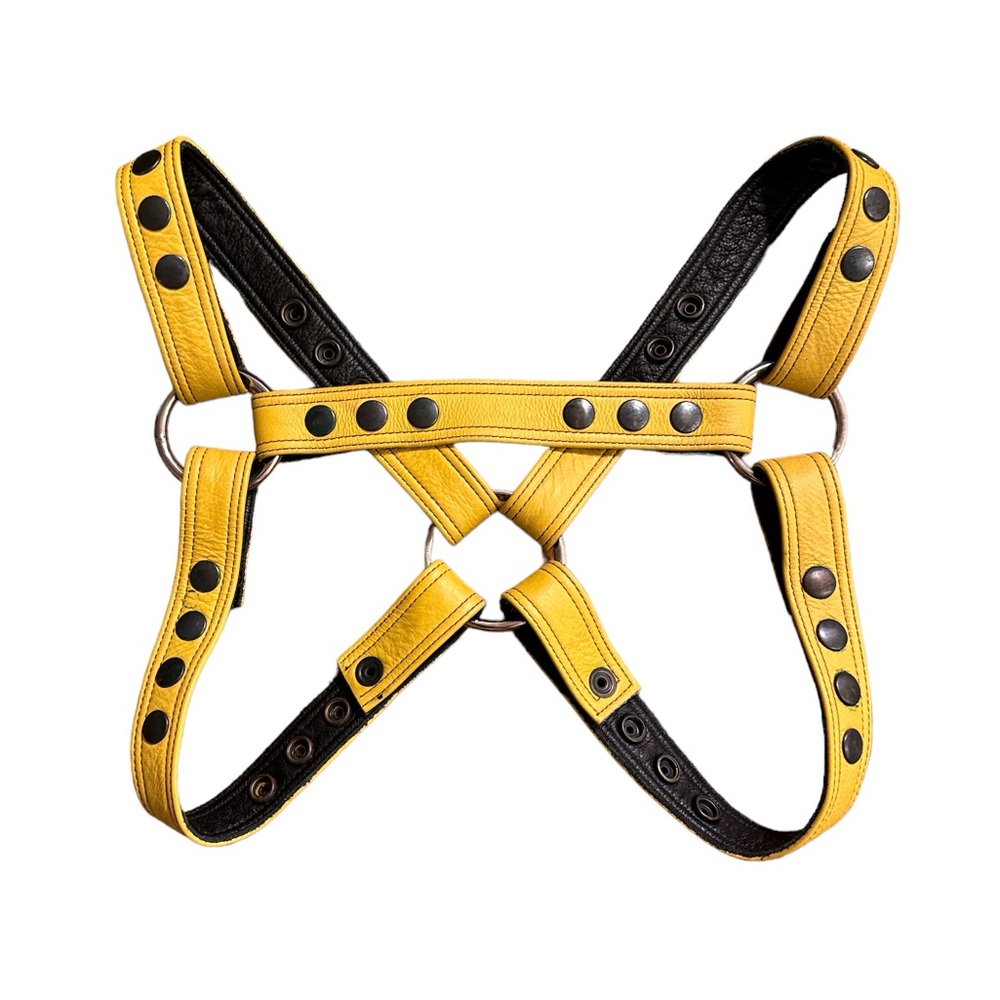 Yellow and Black Men's Harness